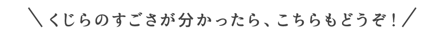 くじらのすごさが分かったら、こちらもどうぞ！